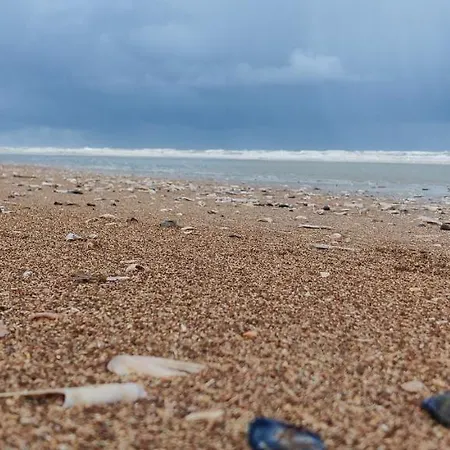 Appartamento Le Zandkreek & Centre - 2 Ch